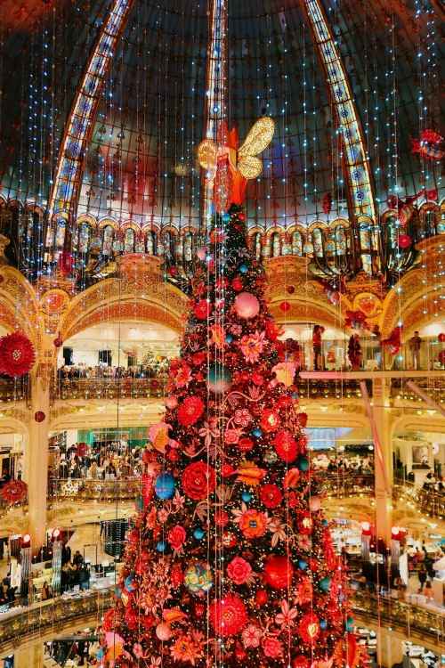 tour image