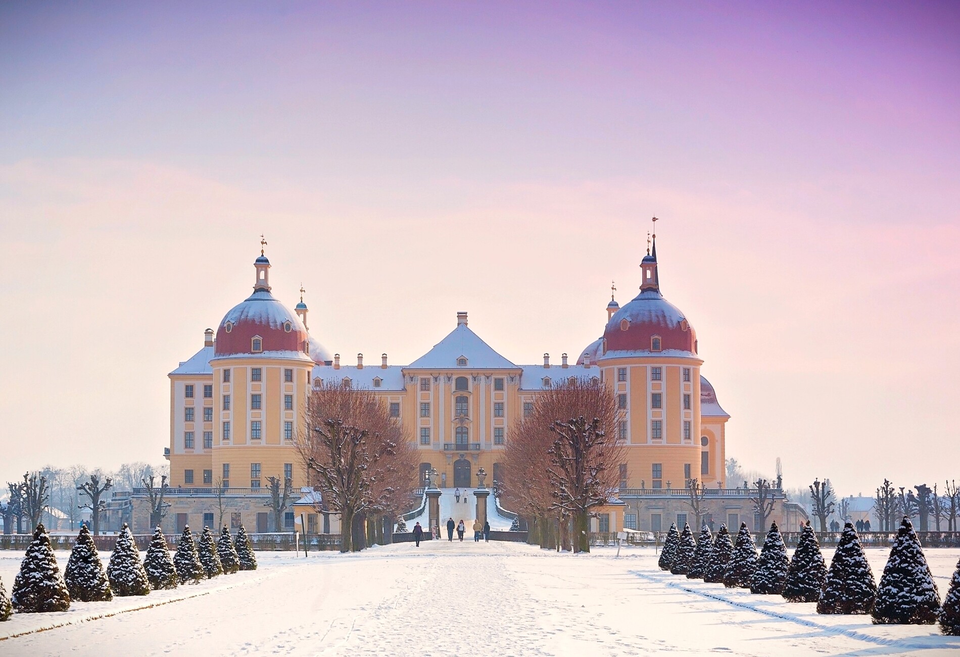 Замок Морицбург🏰 и Дрезден