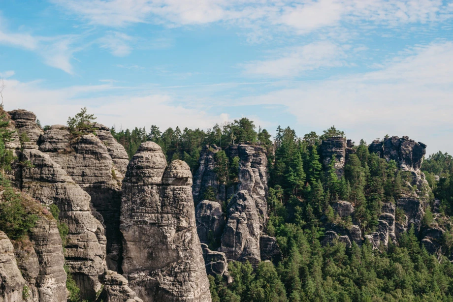 Дрезден + парк Саксонская Швейцария🌳