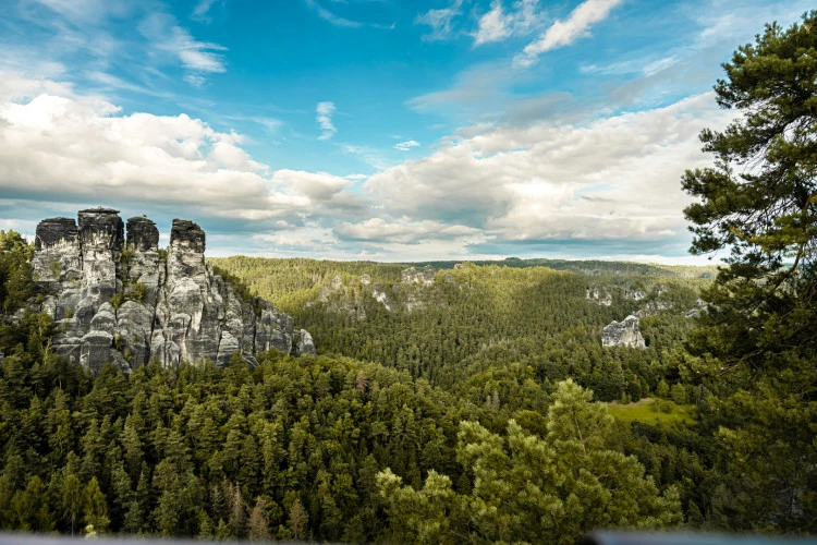 Дрезден + парк Саксонская Швейцария 🌳