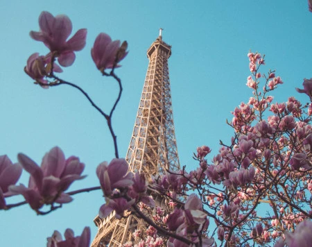 Весна в Париже 🌸