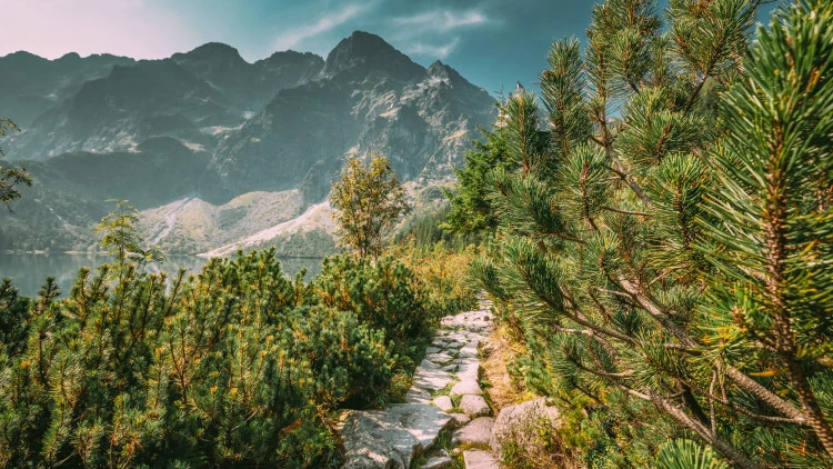 Морское Око 🌲 и термальные источники