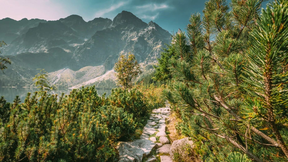 Морское Око🌲 и термальные источники