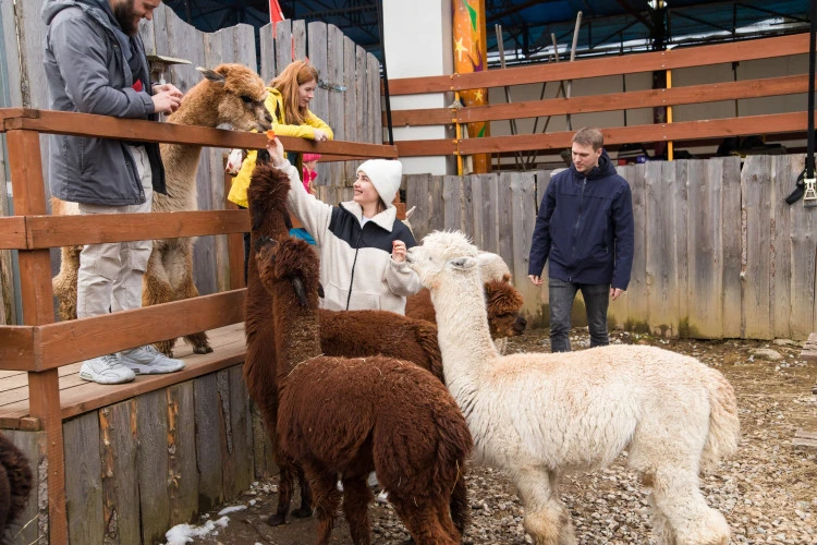 Закопане 🐑 и термальные источники 💦