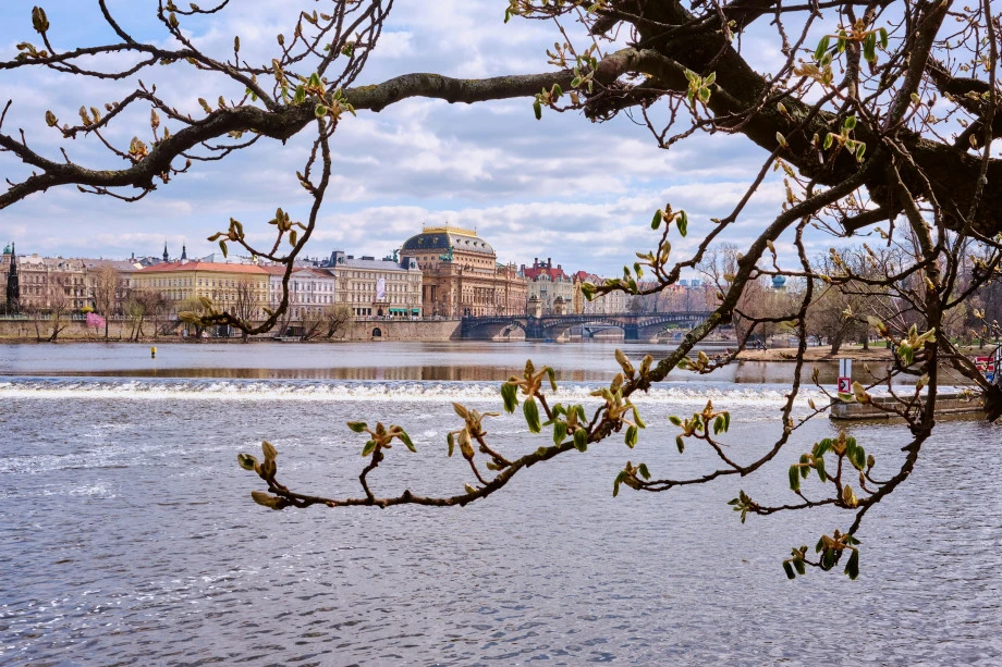 8🌷 марта в Праге