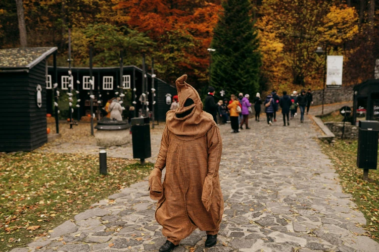 tour image