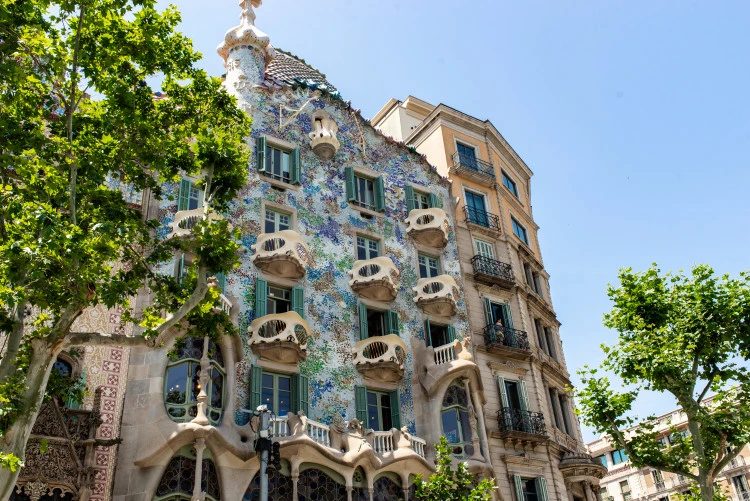 tour image