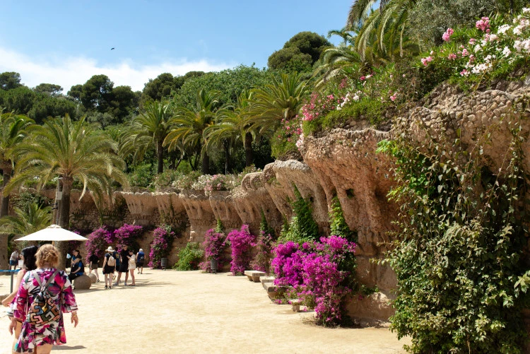 tour image