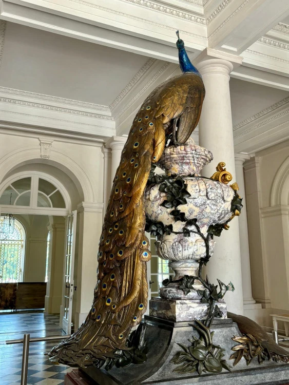 tour image