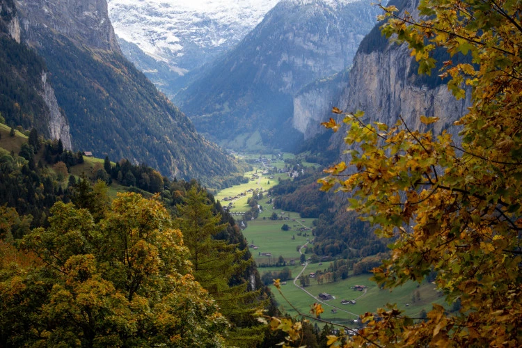 tour image