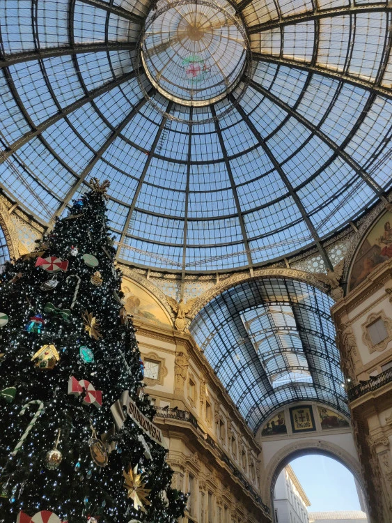 tour image