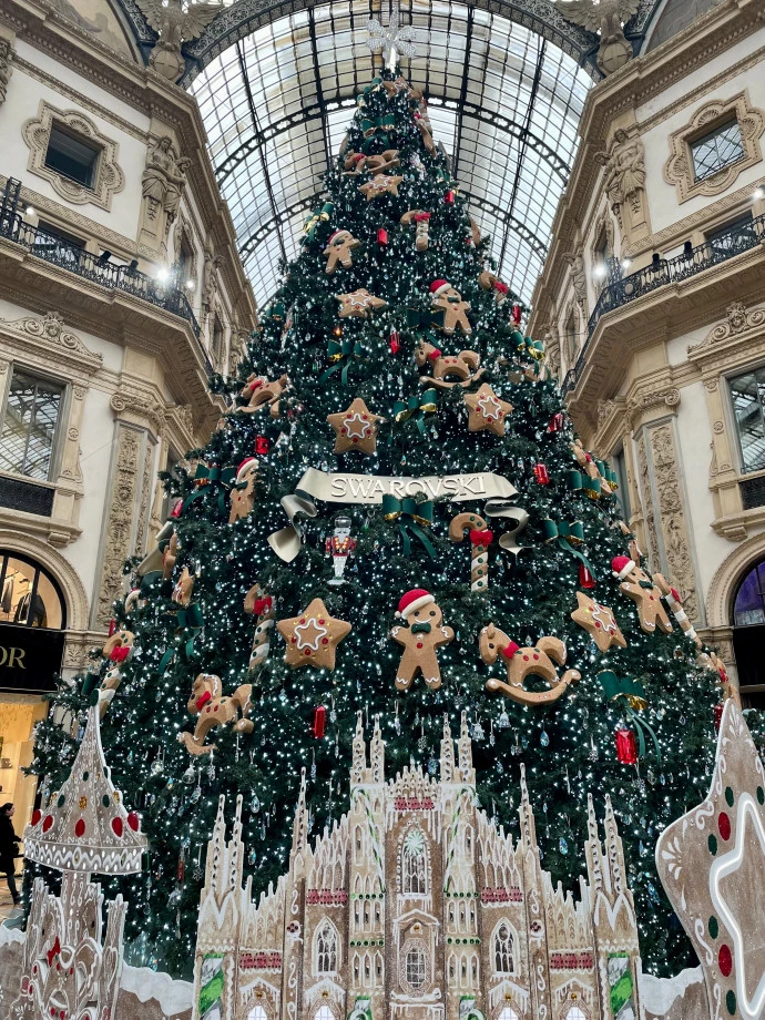 Рождество в Швейцарии🎅 и Милане